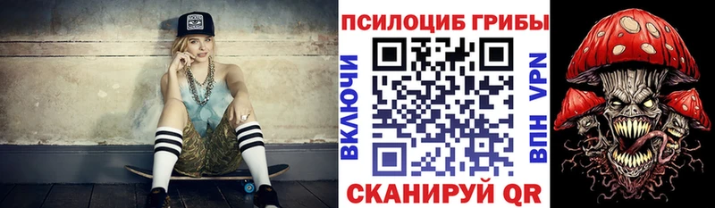 Купить  Дальнегорск  Псилоцибиновые грибы мухоморы 